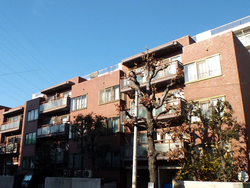mansion-images