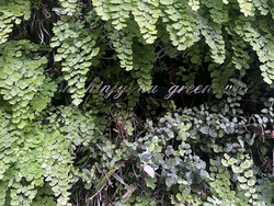 mansion-images