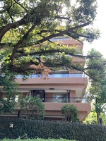 mansion-images