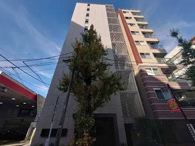ウィルレーナ目白