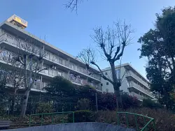 mansion-images