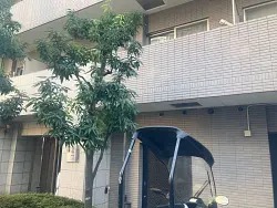 mansion-images
