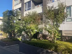 mansion-images