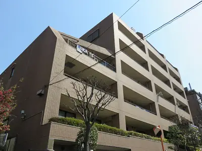 ドメインたまプラーザ