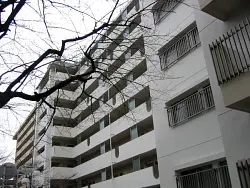 mansion-images