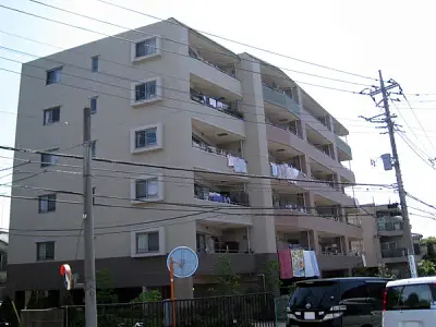セザールレレガン溝の口