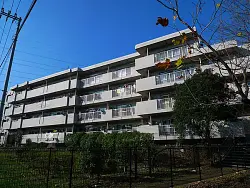mansion-images