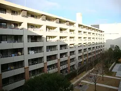 mansion-images