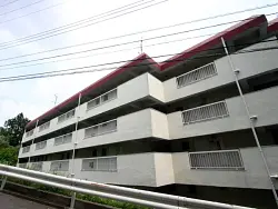 mansion-images