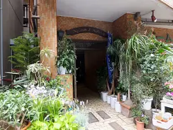 mansion-images