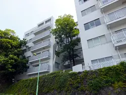 mansion-images