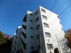 mansion-images