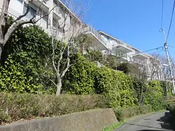 mansion-images