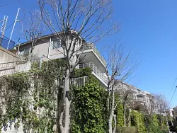 mansion-images