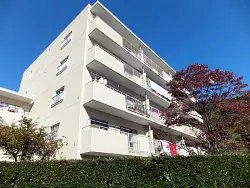mansion-images