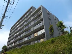 mansion-images
