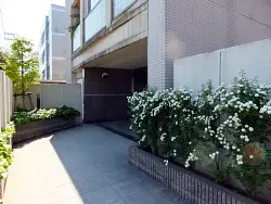 mansion-images
