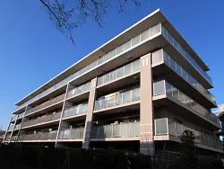 mansion-images