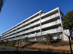 mansion-images