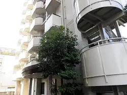 mansion-images