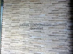 mansion-images