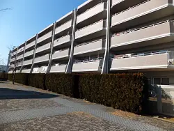 mansion-images