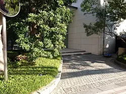 mansion-images