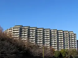 mansion-images