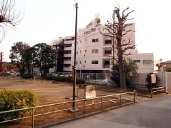 mansion-images