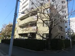 mansion-images