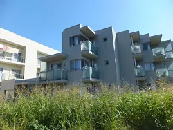 mansion-images