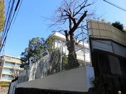 mansion-images