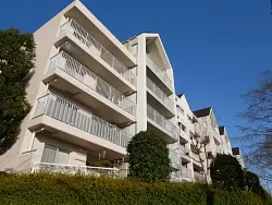 mansion-images
