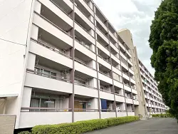 mansion-images