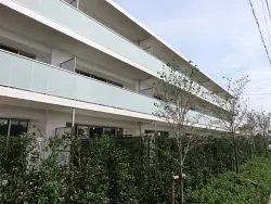 mansion-images