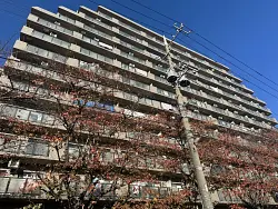 mansion-images