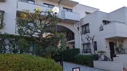 mansion-images