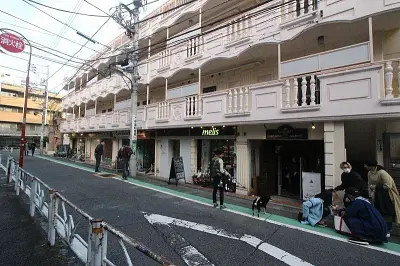 キャッスルマンション代官山