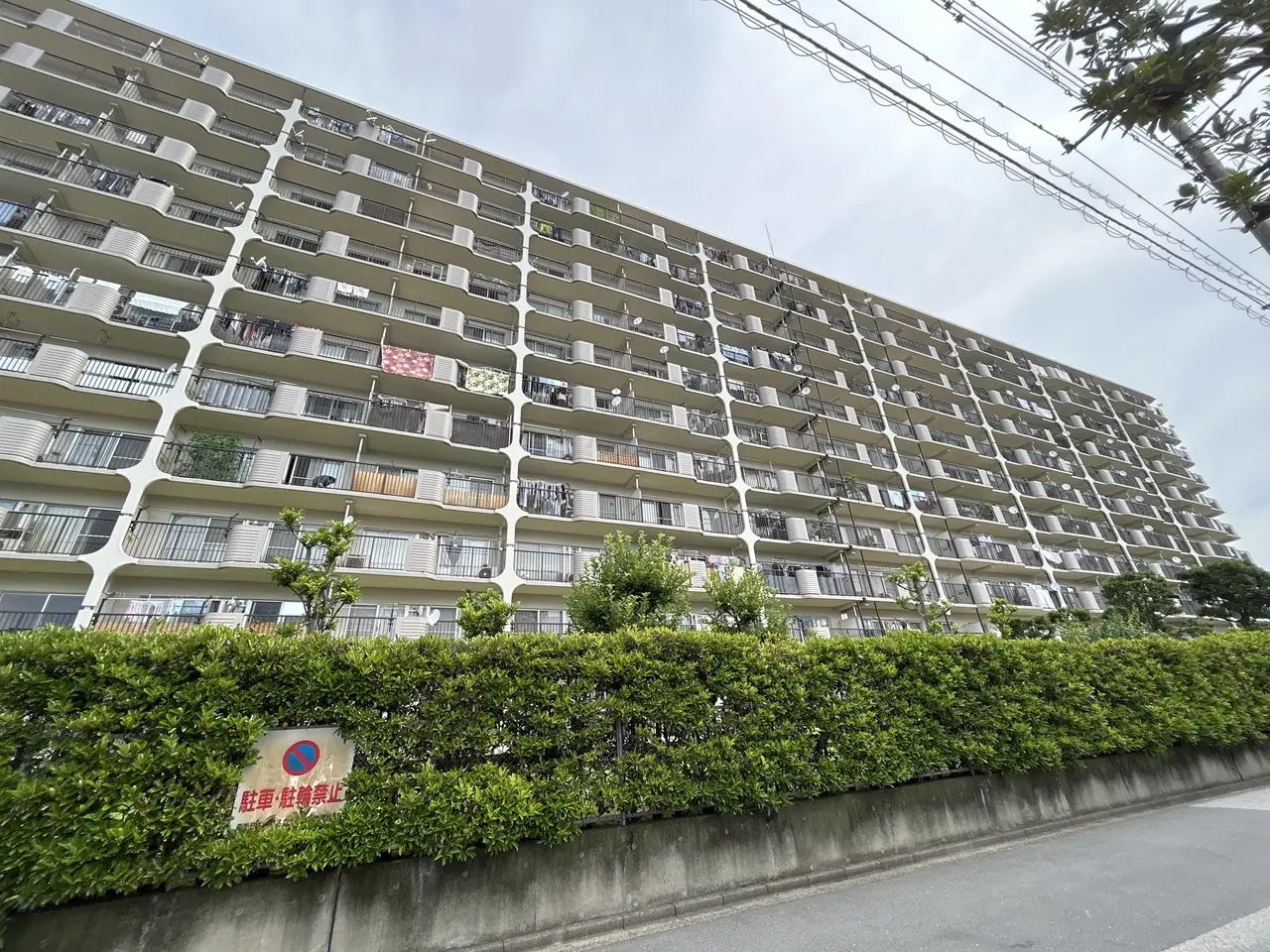西新井 大師 扇 スカイ ハイツ