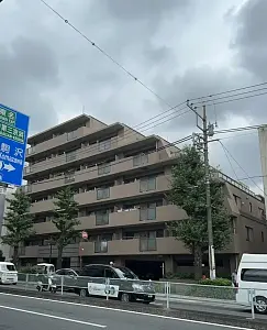 ルピナス八雲グランステージ