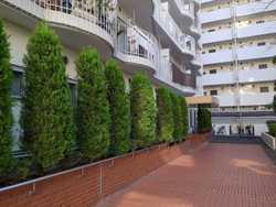 mansion-images