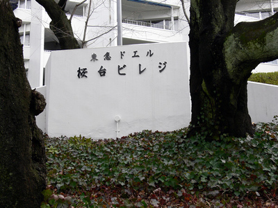 mansion-images