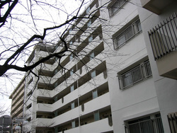 mansion-images